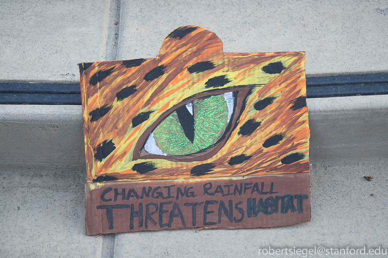 al gore climate rally